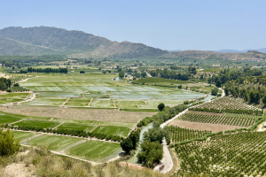 CALASPARRA area Murcia Dreams