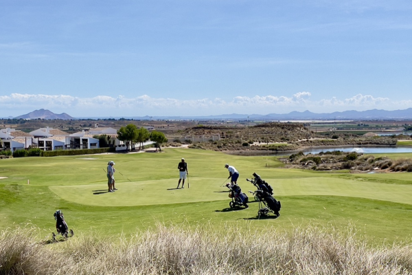 The Valley Golf Resort banner