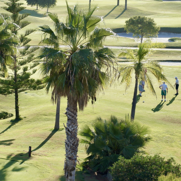 Roda golf course area image 3