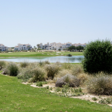 Hacienda Riquelme golf course area image 8